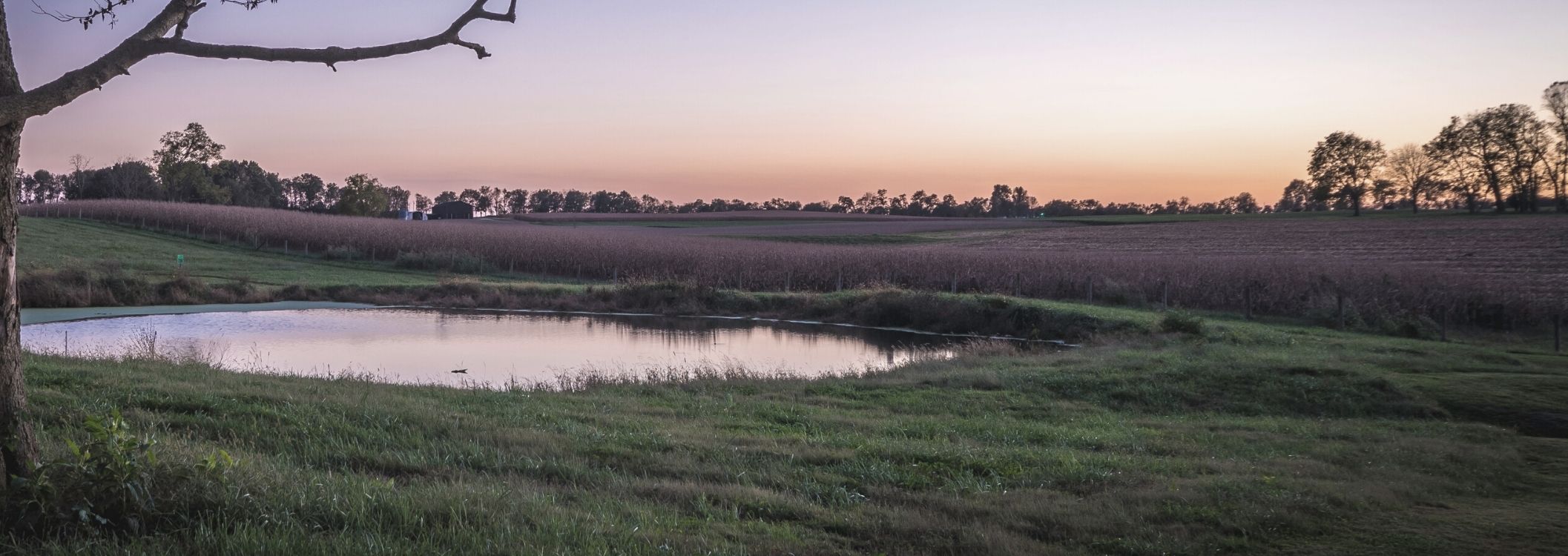 bnr_Farm-Pond