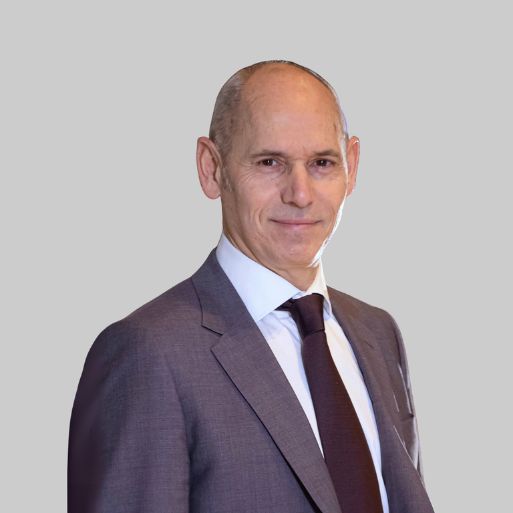 Didier Traube - grey