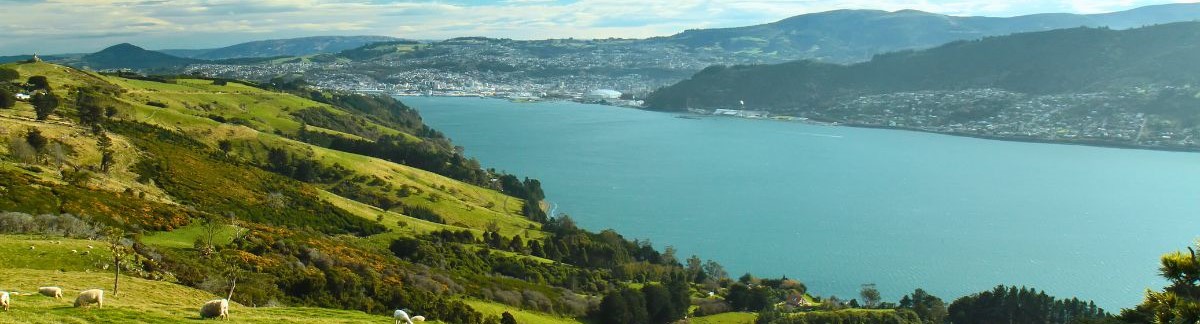 img_dunedin_1200x324