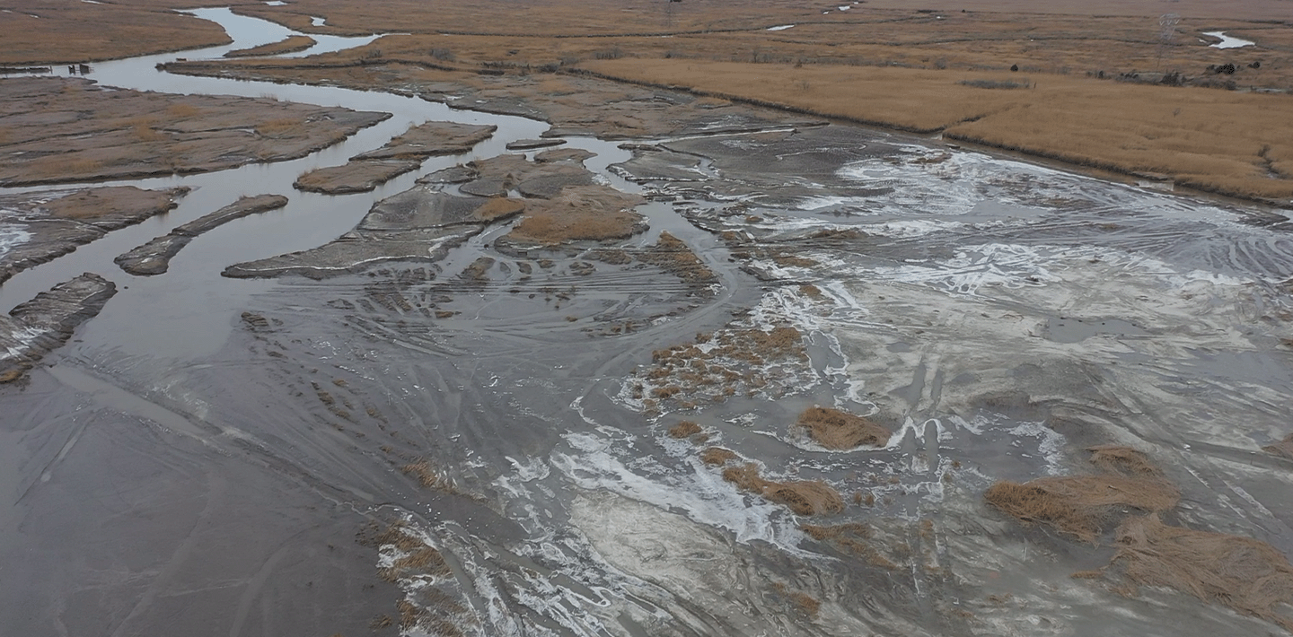 img-abbotts-meadow-post-clearing.png