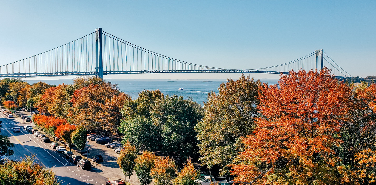 img-verrazzano-narrows-bridge-autumn.jpg